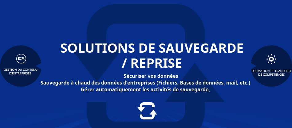 Solution de sauvegarde  reprise des données d entreprises 